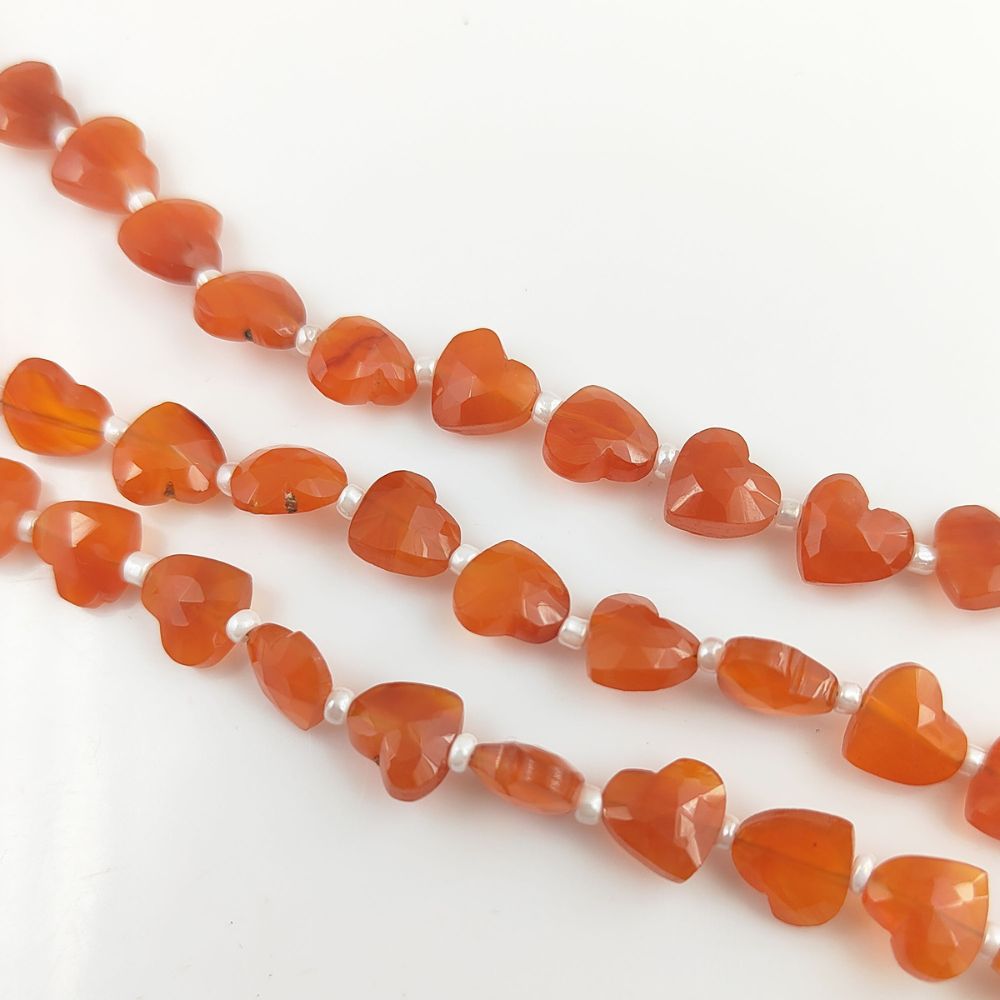 Rich, Warm Hues | High-Quality Cut