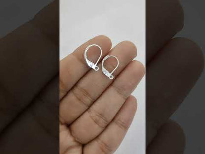 18K Gold Plated Lever Back Earring Hooks, French Ear Wire Components for DIY Jewelry